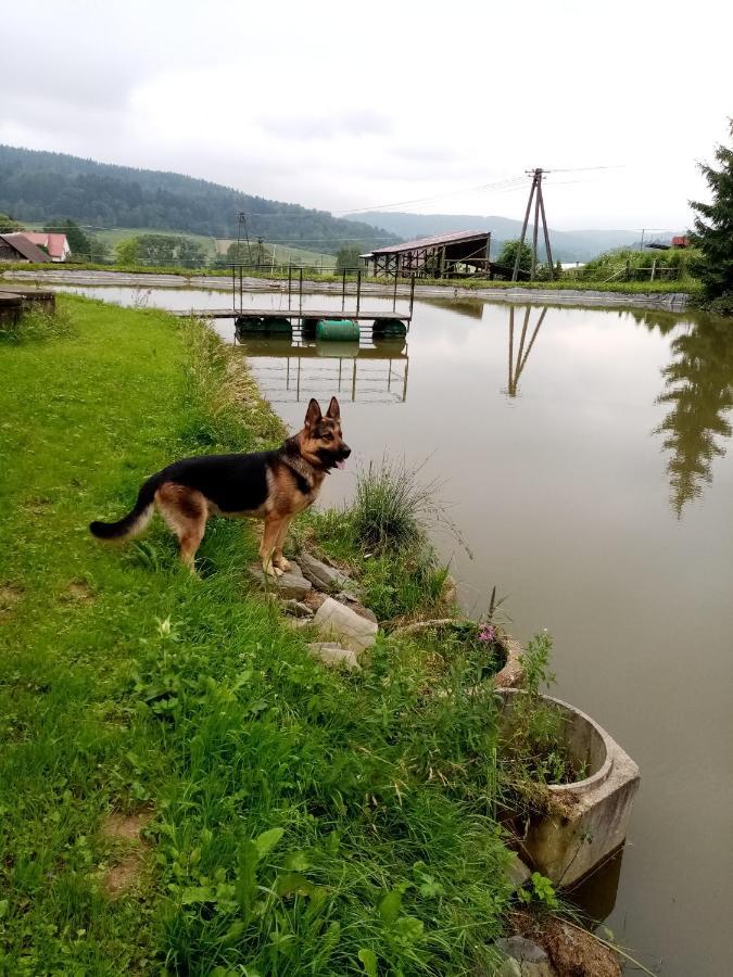Hotel Przy Winogronie Uherce Mineralne Exteriér fotografie