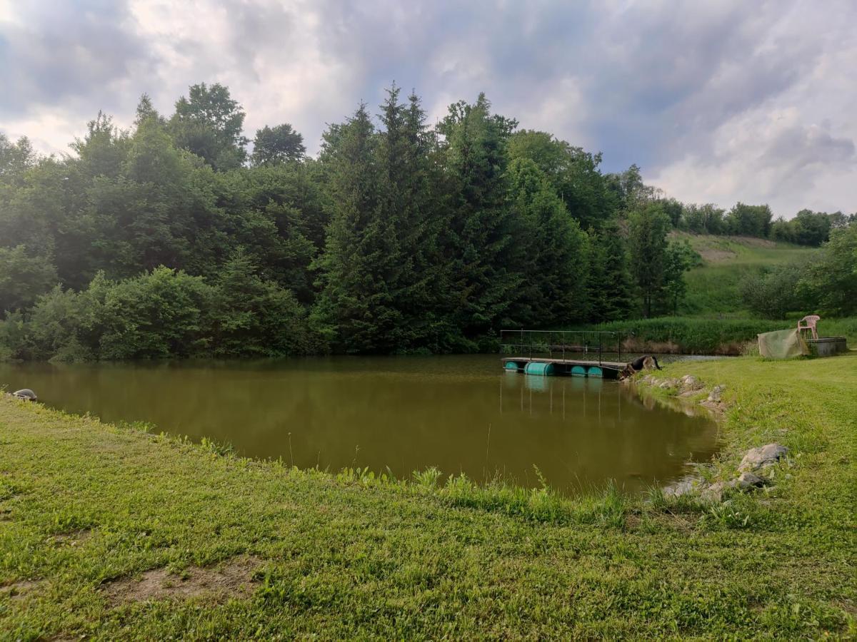 Hotel Przy Winogronie Uherce Mineralne Exteriér fotografie